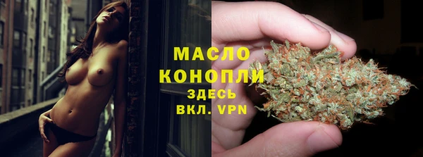 СК Вязьма