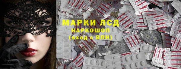 мдпв Вяземский