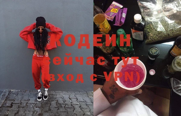 мдпв Вяземский