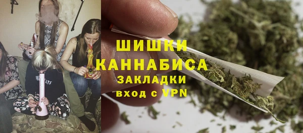СК Вязьма