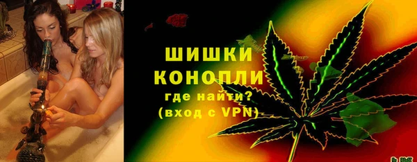 прущие крисы Бородино