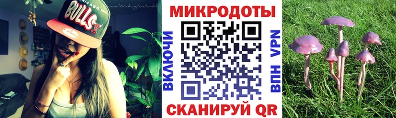 Галлюциногенные грибы ЛСД  Жуковка 